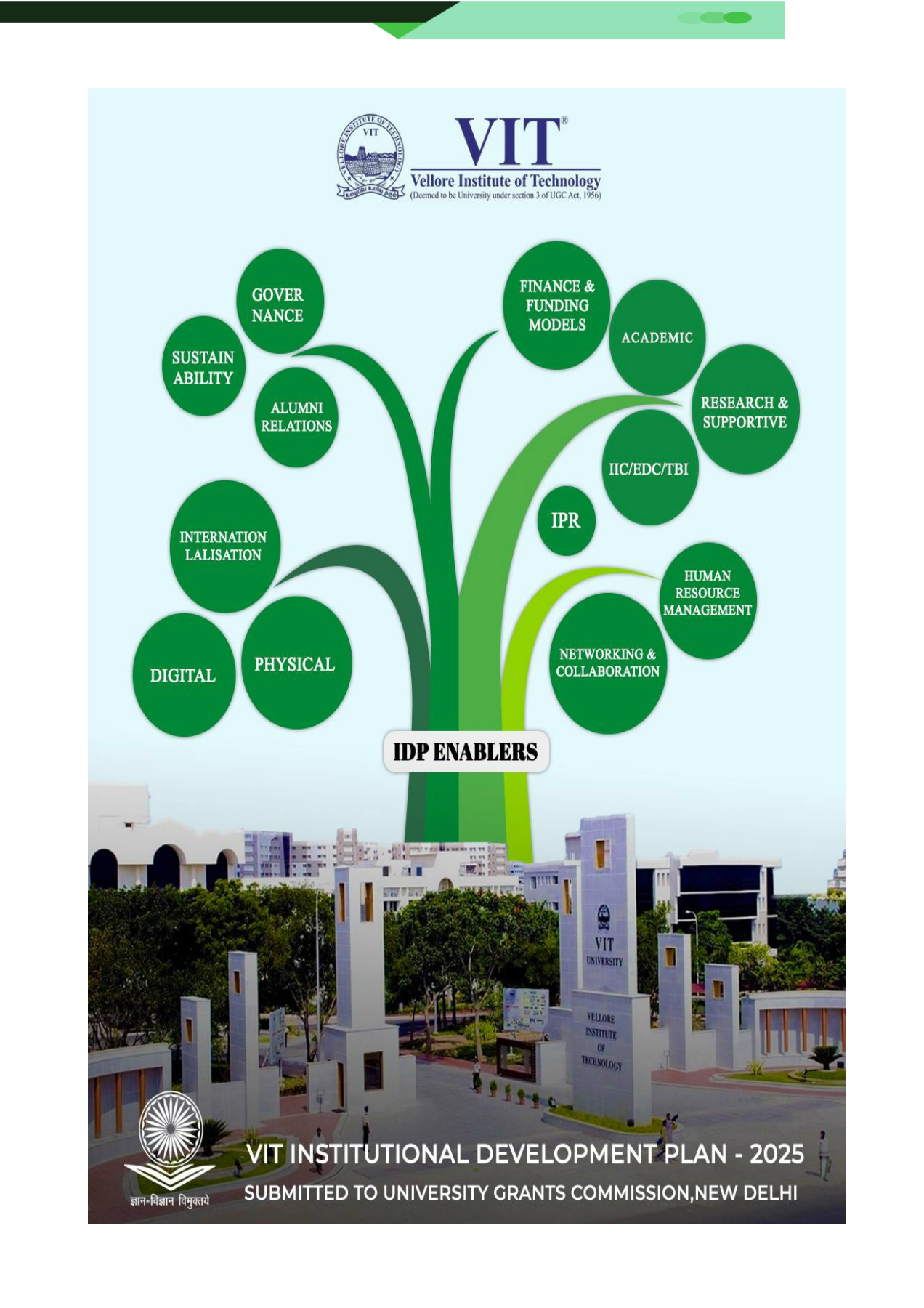 Institutional Development Program Institutional Development Plan (IDP)