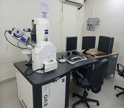 Scanning electron microscope(SEM)