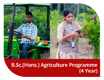 B.Sc.(Hons.) Agriculture 4 year Programme (2024-25 Admissions)