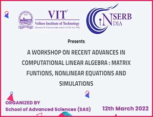 A Workshop on Recent Advances in Computational Linear Algebra : Matrix Funtions, Nonlinear Equations and Simulations