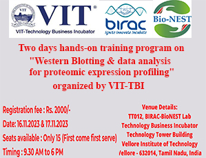 Western Blotting & data analysis  for proteomic expression profiling