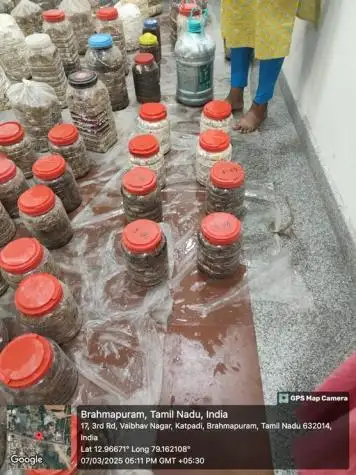 Bottles were kept for incubtion