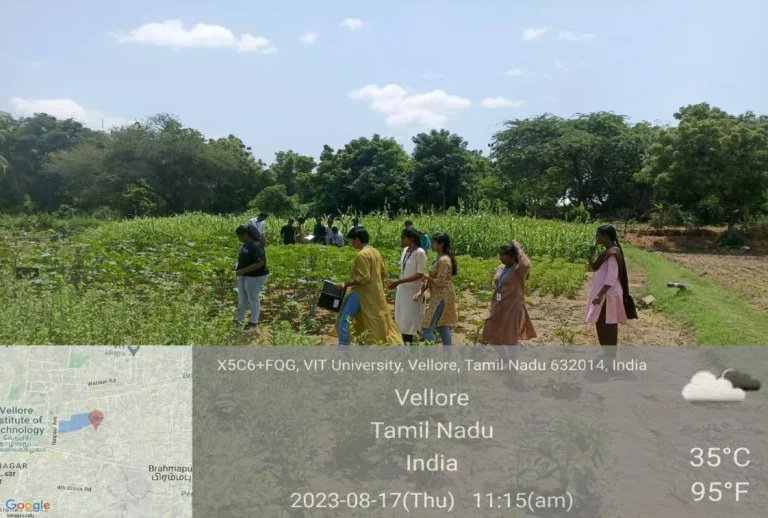 Crop plots visit and identification of the diseases by Students