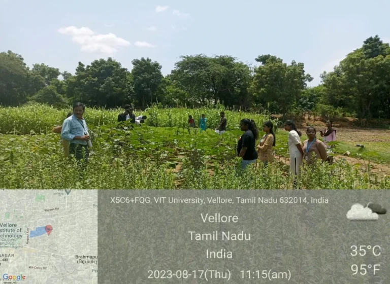 Explanation about the crop-wise diseases availability in plot