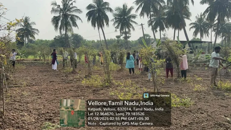 Students work in pairs or small groups to practice training and pruning